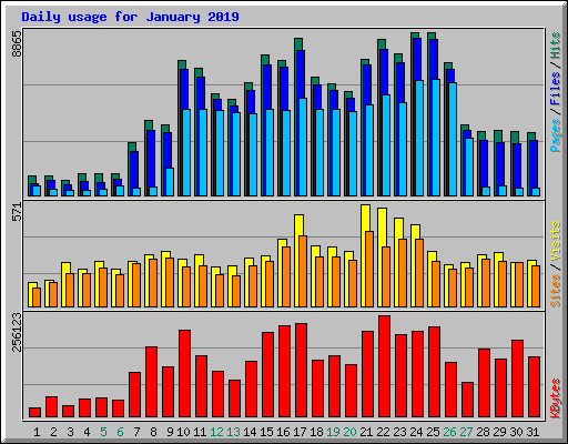 Daily usage for January 2019