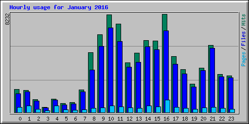 Hourly usage for January 2016