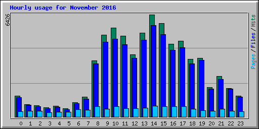Hourly usage for November 2016