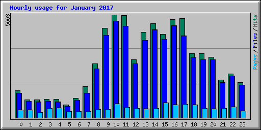 Hourly usage for January 2017