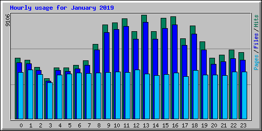 Hourly usage for January 2019