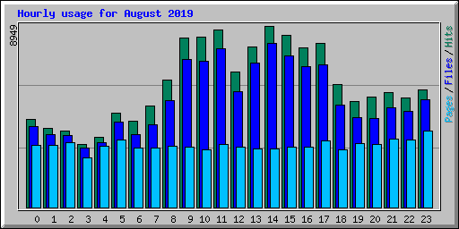 Hourly usage for August 2019