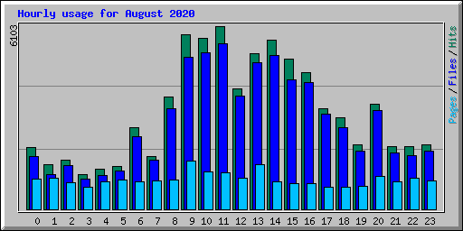 Hourly usage for August 2020