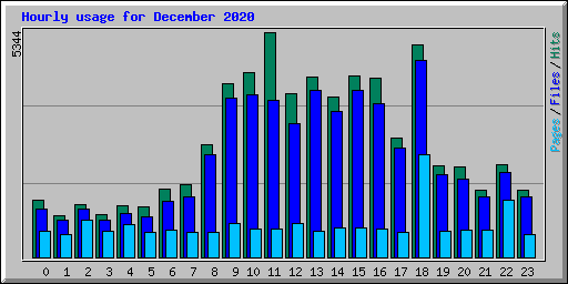 Hourly usage for December 2020