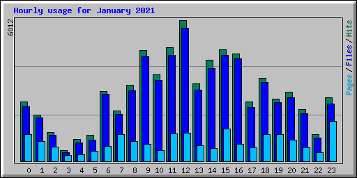 Hourly usage for January 2021