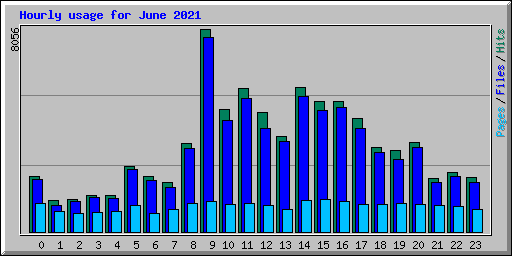 Hourly usage for June 2021