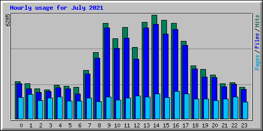 Hourly usage for July 2021