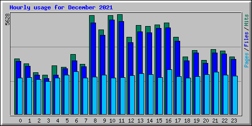 Hourly usage for December 2021