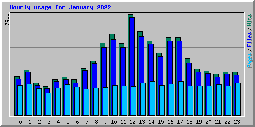 Hourly usage for January 2022