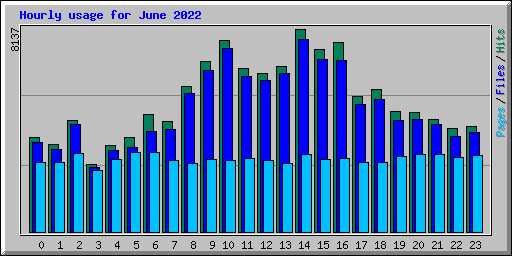 Hourly usage for June 2022