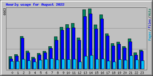 Hourly usage for August 2022