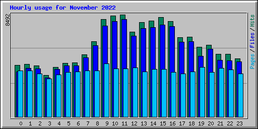 Hourly usage for November 2022