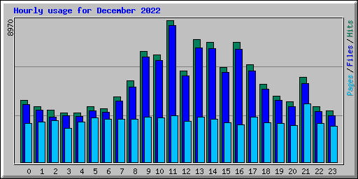 Hourly usage for December 2022