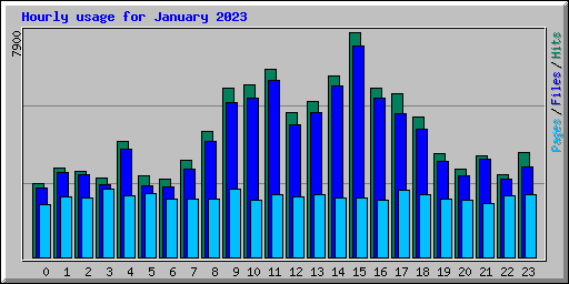 Hourly usage for January 2023