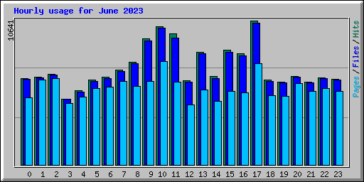 Hourly usage for June 2023